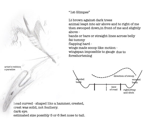 Rhamphorhynchoid pterosaur living in Georgia, United States of America